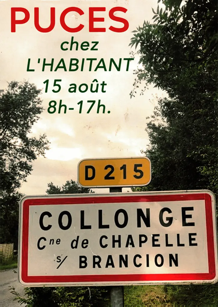 Puces 71 -- Puces chez l'habitant -- Collonge -- La-Chapelle-sous-Brancion (71)